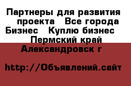 Партнеры для развития IT проекта - Все города Бизнес » Куплю бизнес   . Пермский край,Александровск г.